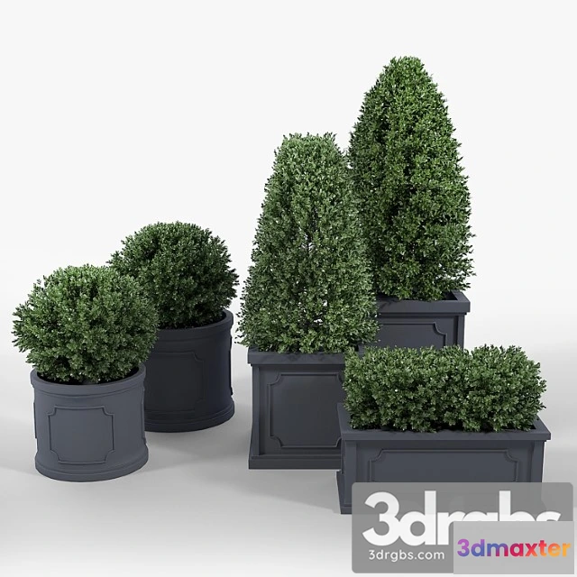 1063154 - Birmingham planter collection