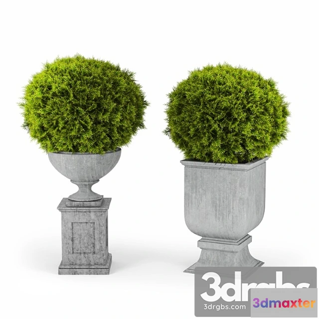 1063188 - Classic two