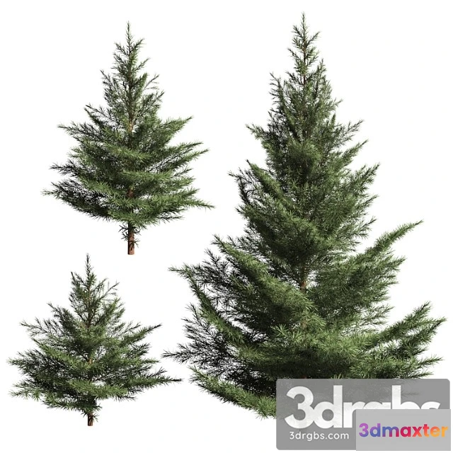 1063198 - Collection of firs. 3 models