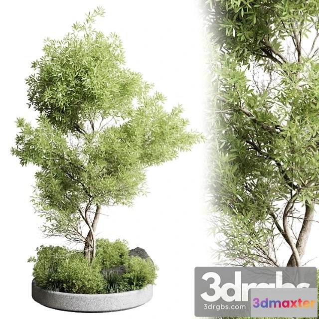 1063232 - Collection outdoor indoor 85 pot plant & tree & bush