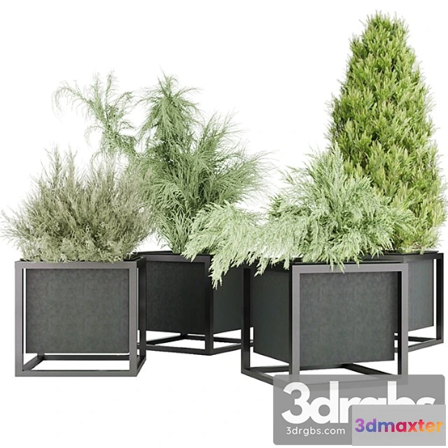 1063258 - Collection plant vol 14