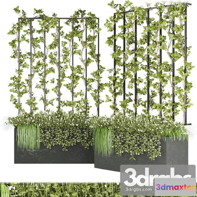 1063264 - Collection plant vol 36