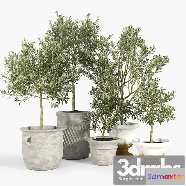 1063298 - Eclectic villa planters
