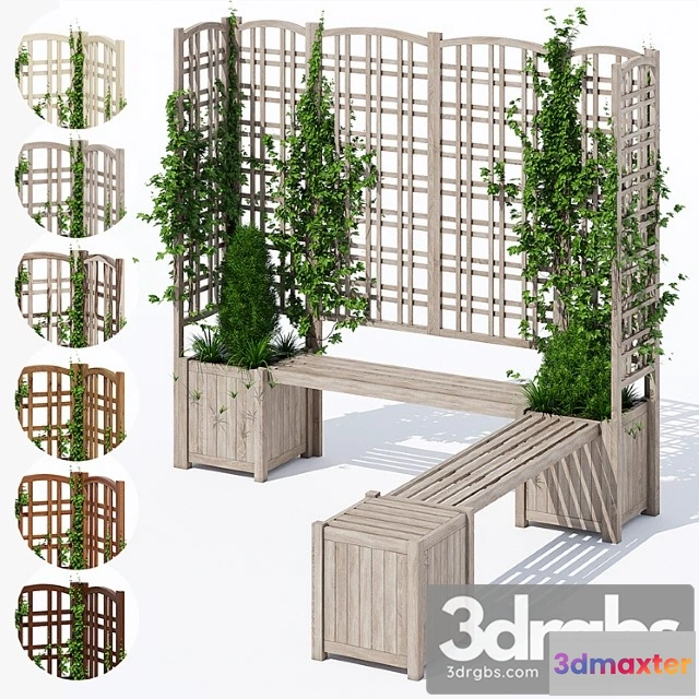 1063302 - Eucalyptus - No.2