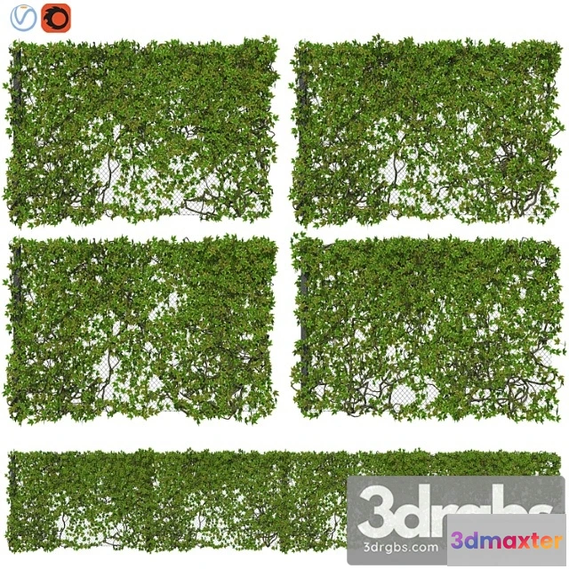 1063306 - Fence with ivy v12