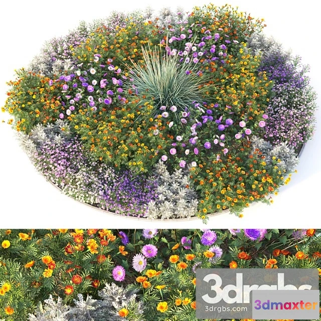 1063326 - Flower garden 4