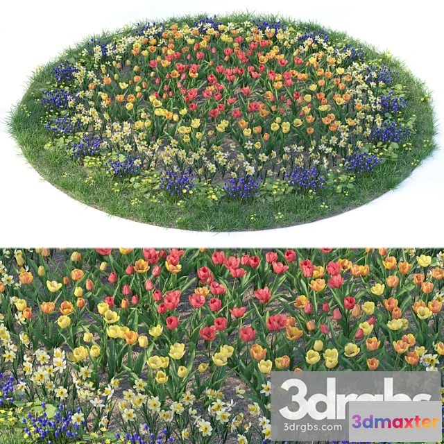 1063328 - Flower garden 6