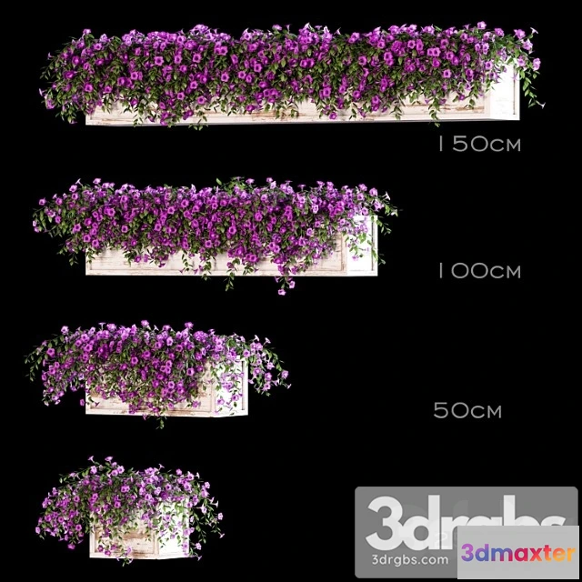 1063330 - Flowers for the balcony