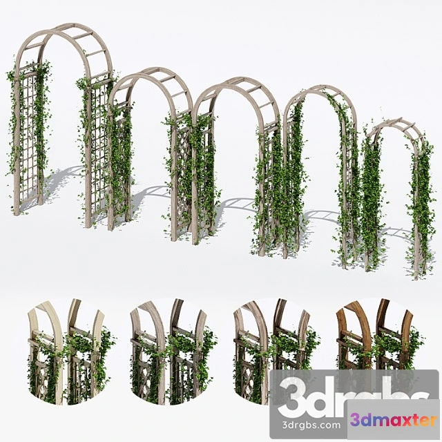 1063338 - Garden arches three