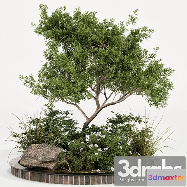 1063340 - Garden plant set 05