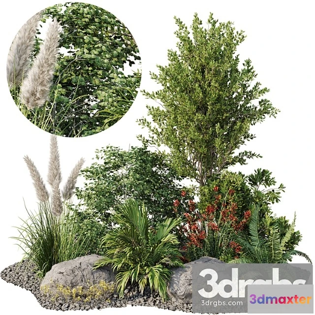 1063342 - Garden plant set 08
