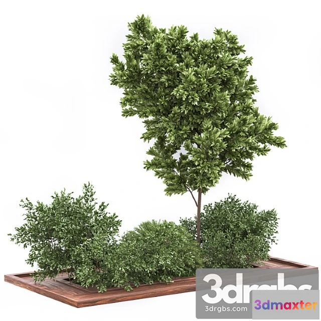 1063360 - Garden set bush and tree Set01