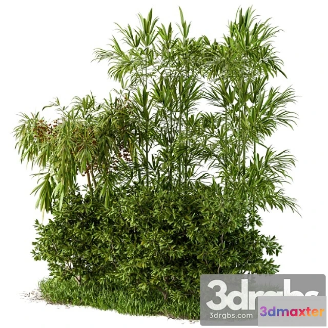 1063374 - Garden set tropical and bush