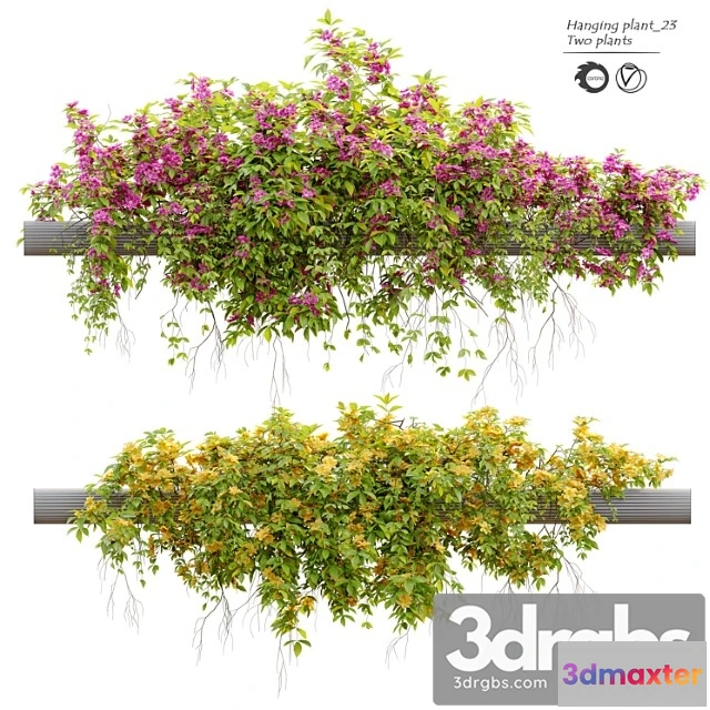 1063392 - Hanging plant 23