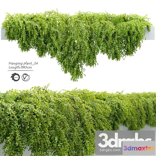 1063394 - Hanging Plant 24