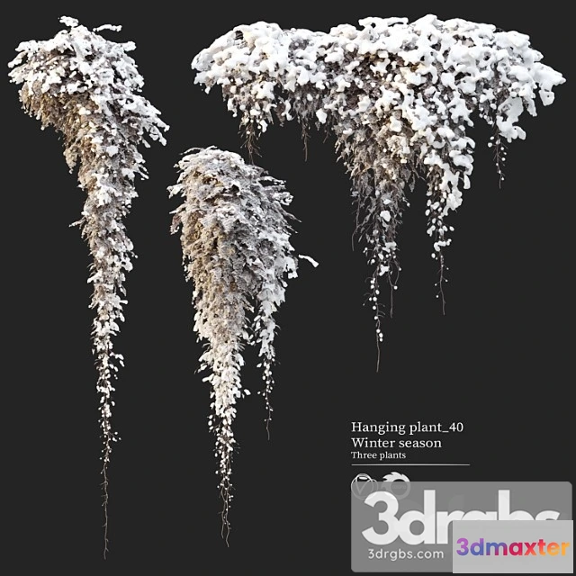 1063402 - Hanging plant 40