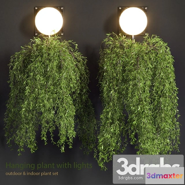 1063406 - Hanging plant with lights