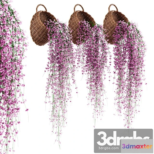 1063412 - Hanging plants in wicker pots v2