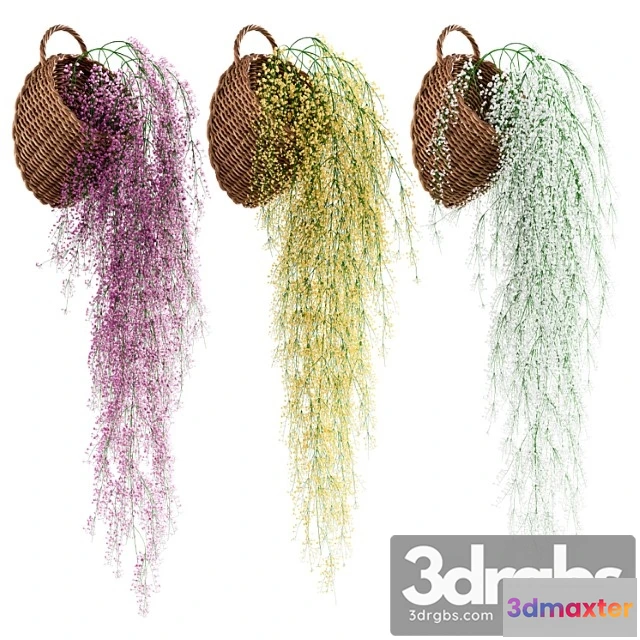 1063414 - Hanging plants in wicker pots