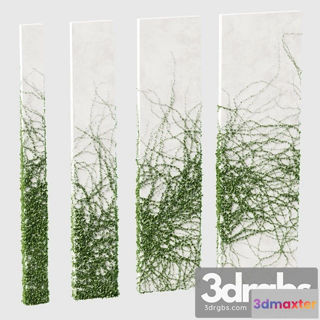 1063468 - Ivy for rectangular columns. 4 models