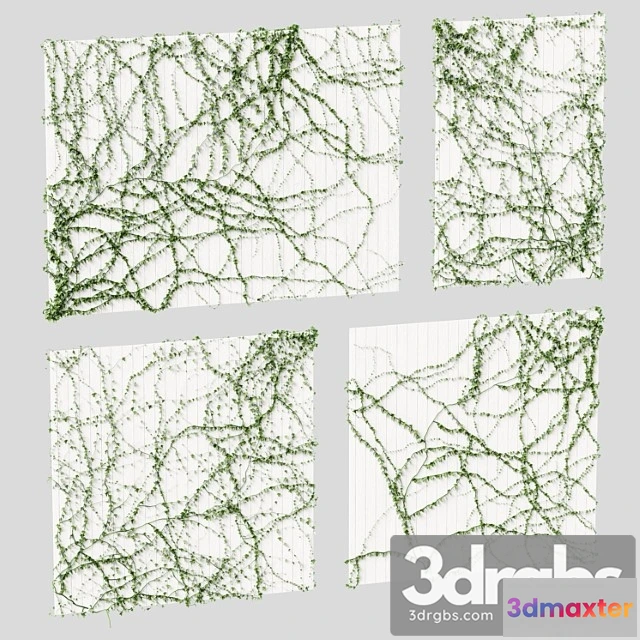 1063470 - Ivy for the ceiling. 4 models