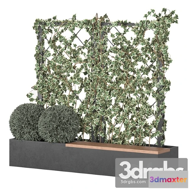 1063476 - Ivy grid with seating area