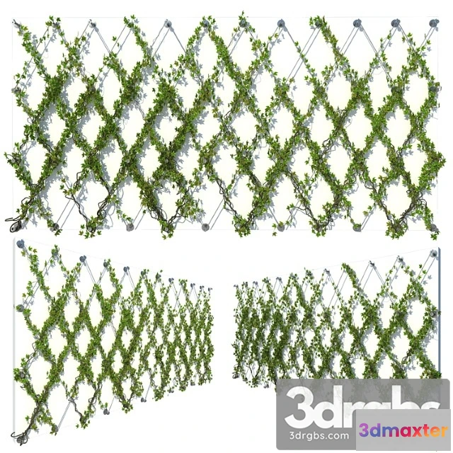 1063504 - Ivy wall 10