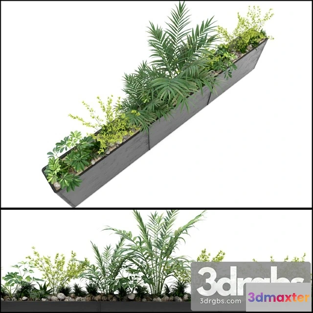 1063510 - Jc long planter 1