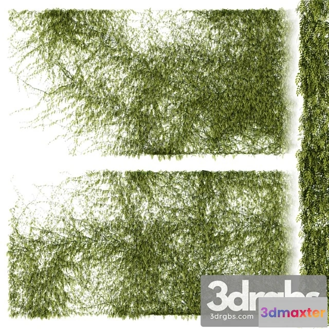 1063528 - Leaves for walls v2