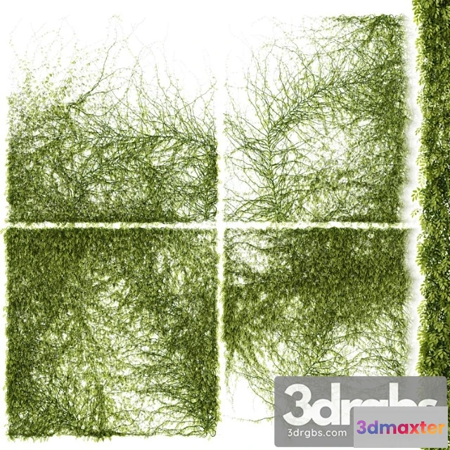 1063530 - Leaves for walls v3