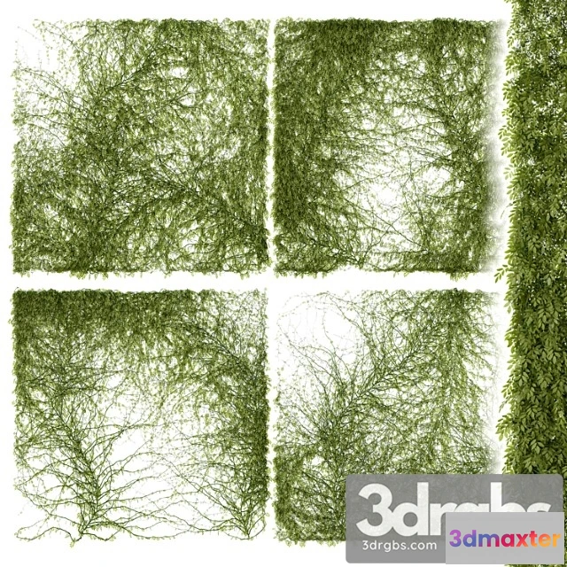 1063532 - Leaves for walls