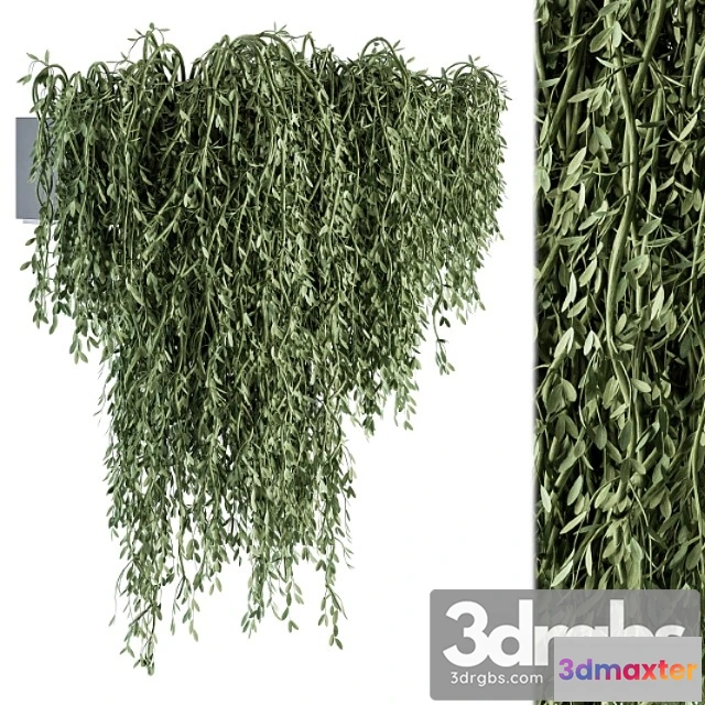 1063590 - Outdoor hanging plants - set 294