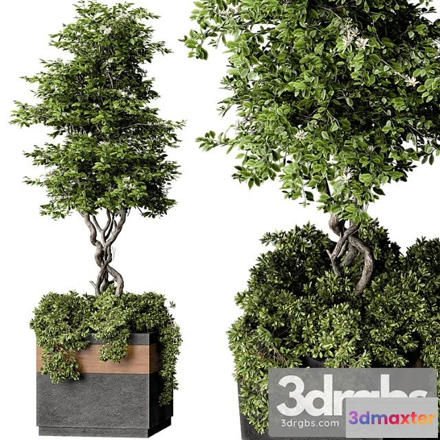 1063610 - Outdoor plant set 01