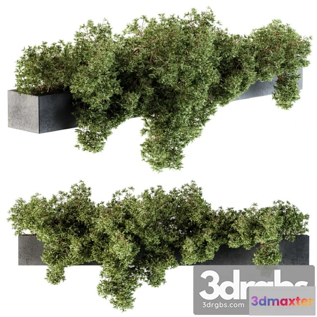 1063616 - Outdoor plant set 103 - hanging plants