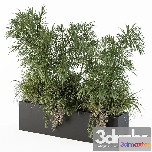 1063648 - Outdoor plant set 252 - plant box with bamboo tree