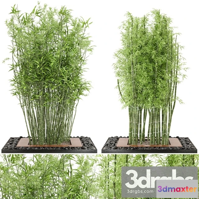 1063684 - Outdoor plants bamboo set garden set 21