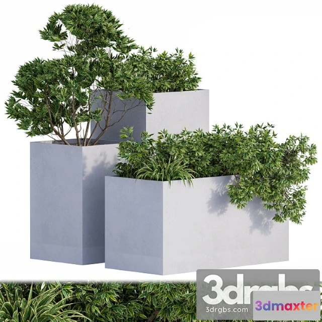 1063688 - Outdoor plants box concrete