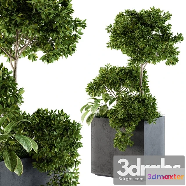 1063704 - Outdoor plants concrete box - set 58
