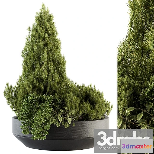 1063708 - Outdoor plants garden - set 142