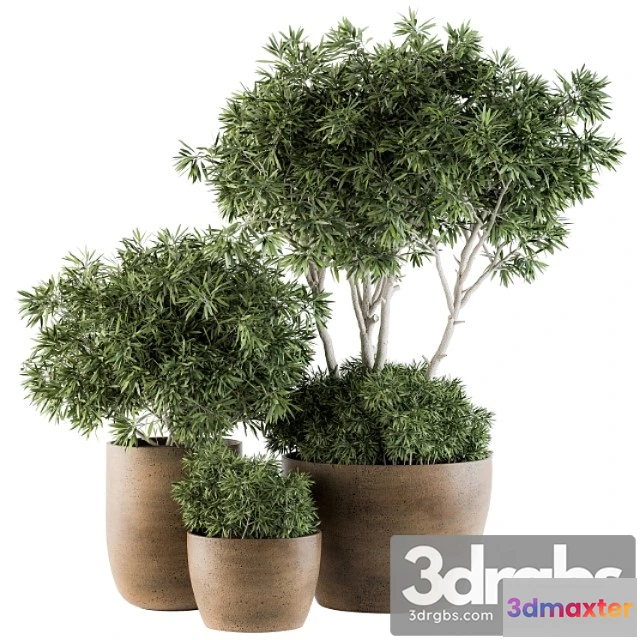 1063732 - Outdoor plants tree in concrete pot - set 111