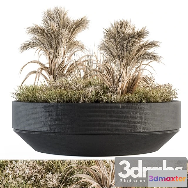 1063748 - Outdoor plants tree in concrete pot - set 147