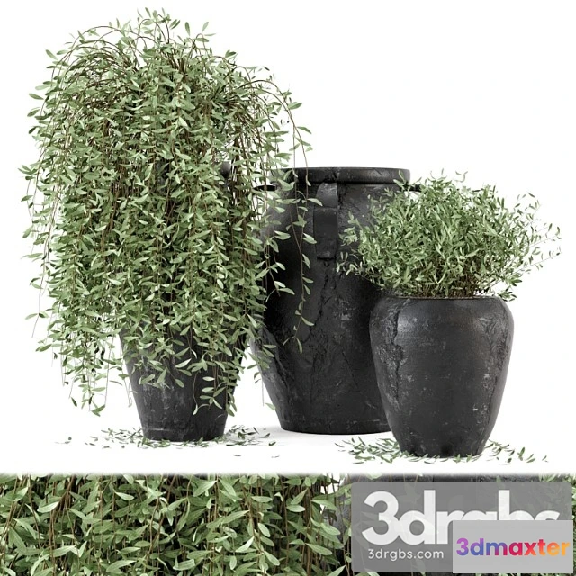 1063762 - Outdoor plants tree in rusty concrete pot - set 2