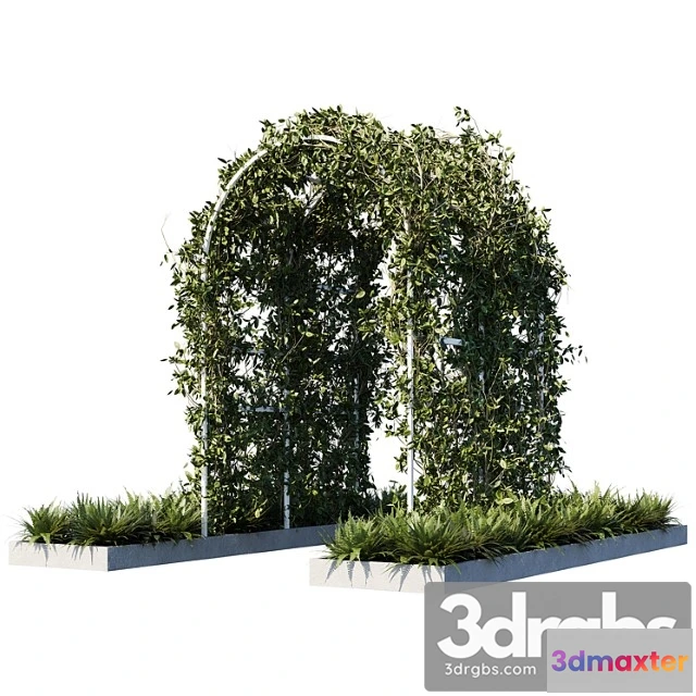 1063770 - Outdoor Plants01