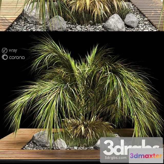 1063780 - Palm tree