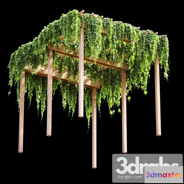 1063784 - Pergola with grape leaves v2