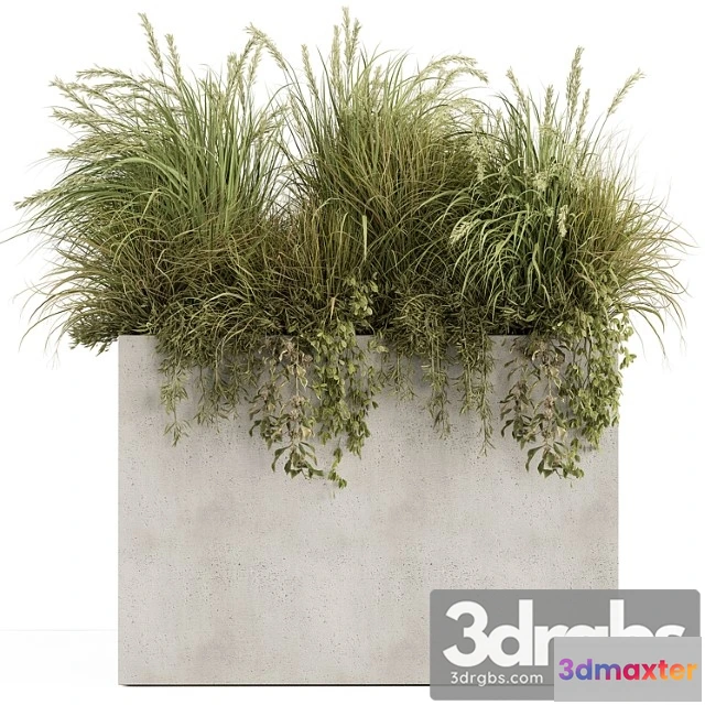 1063796 - Plant box - outdoor plants 480