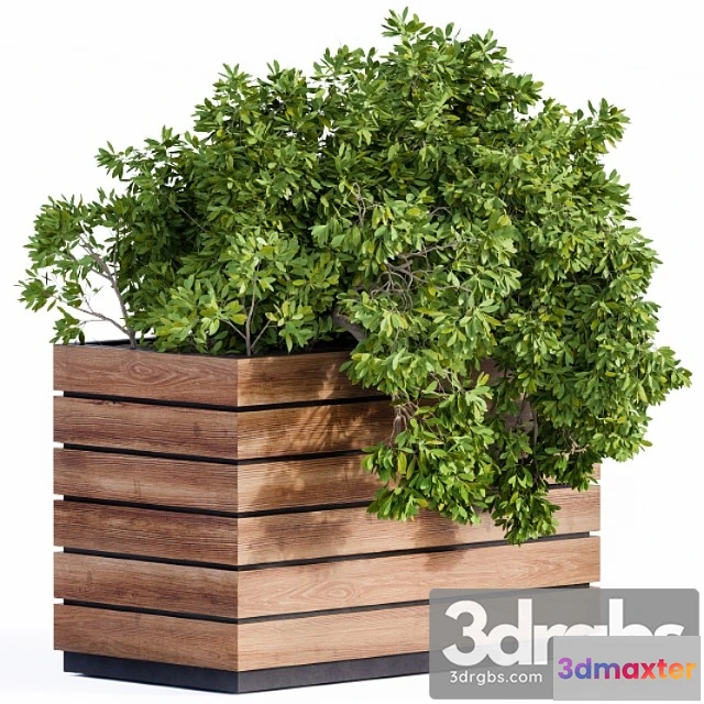 1063800 - Plant box green & wood