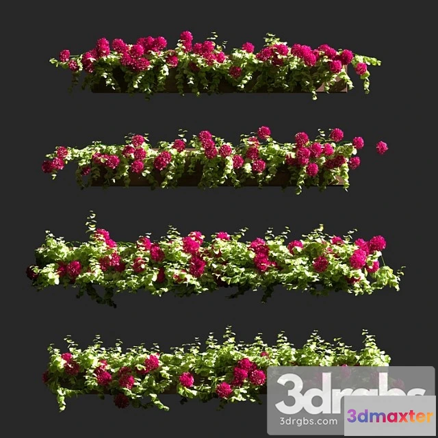 1063808 - Plant geranium facade v2
