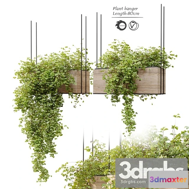 1063812 - Plant hanger