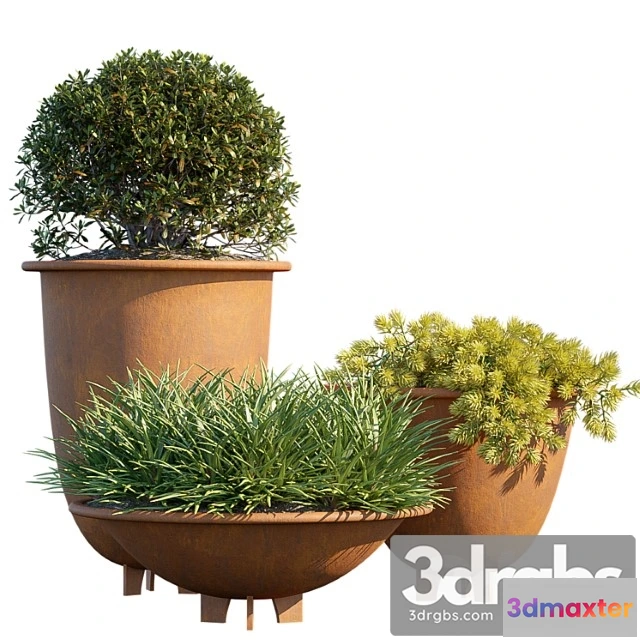 1063818 - Plant in pots _1 - No.2